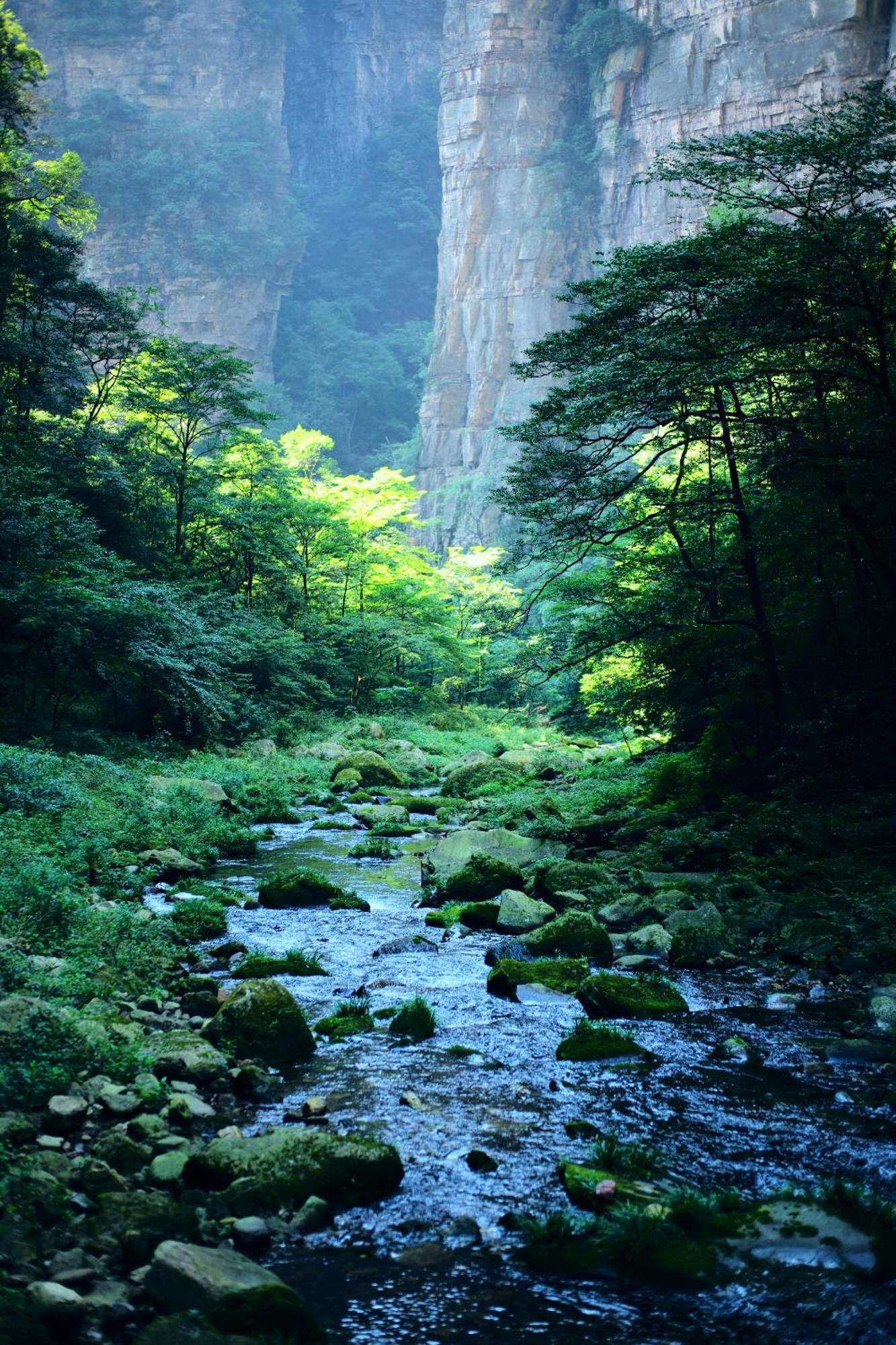 Zhangjiajie Forest Park Youth Hostel Екстер'єр фото